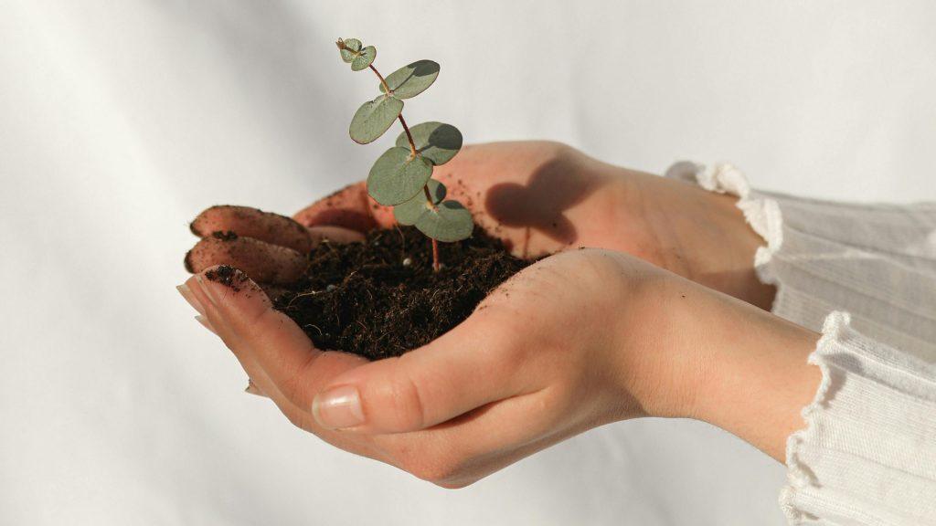 Growth through Traumatic Experiences